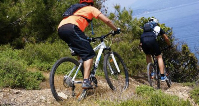 mountain bikes